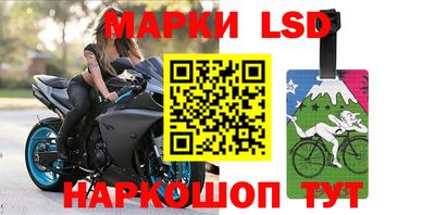 бошки Сланцы